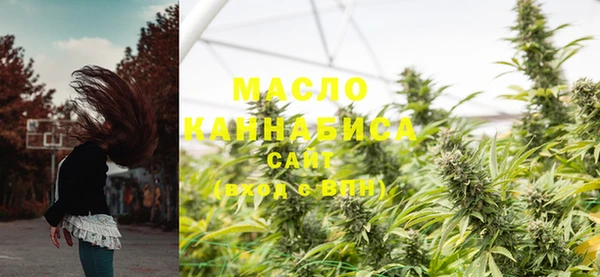 молекула духа Богородицк