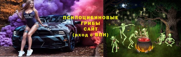 гидропоника Богданович